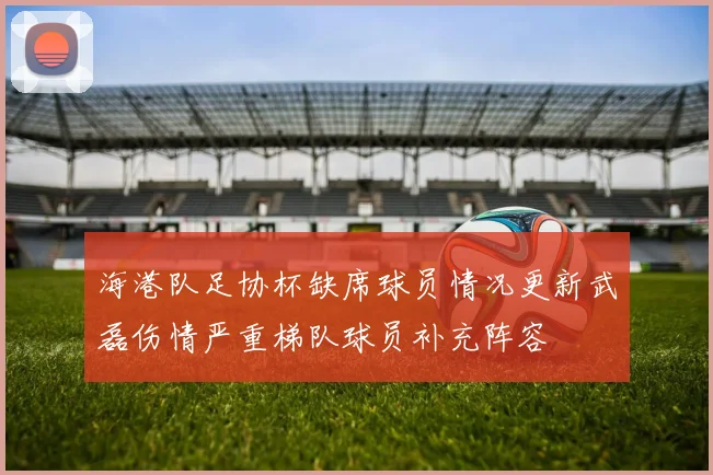 海港队足协杯缺席球员情况更新武磊伤情严重梯队球员补充阵容