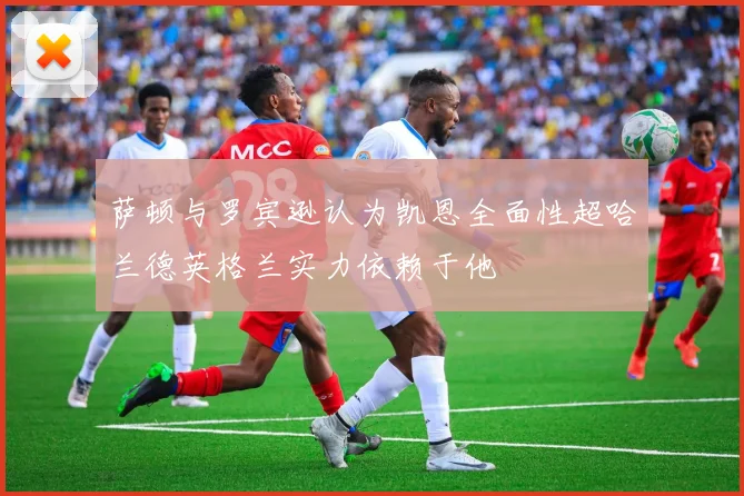 萨顿与罗宾逊认为凯恩全面性超哈兰德英格兰实力依赖于他